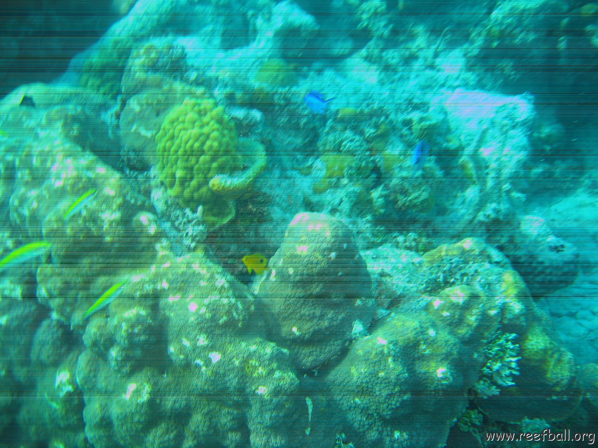 bahamas 135
