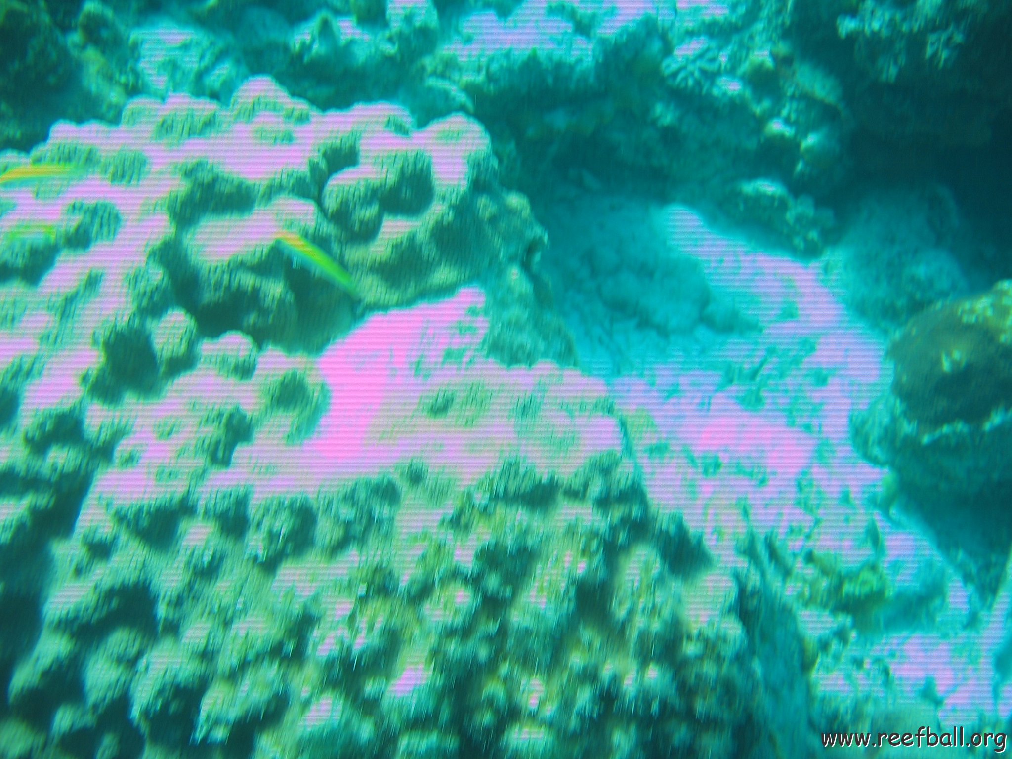bahamas 141