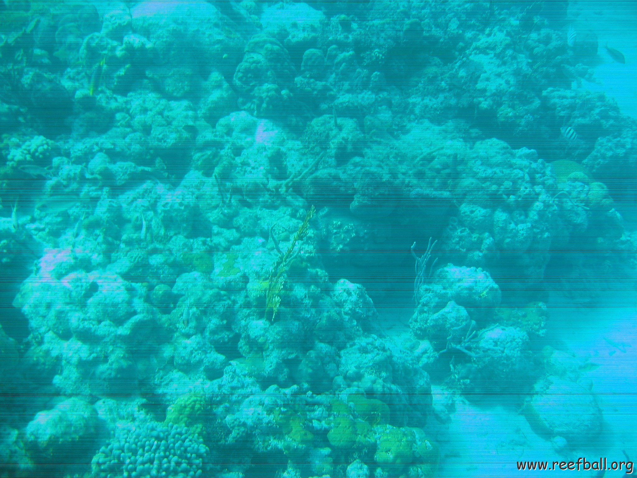 bahamas 142