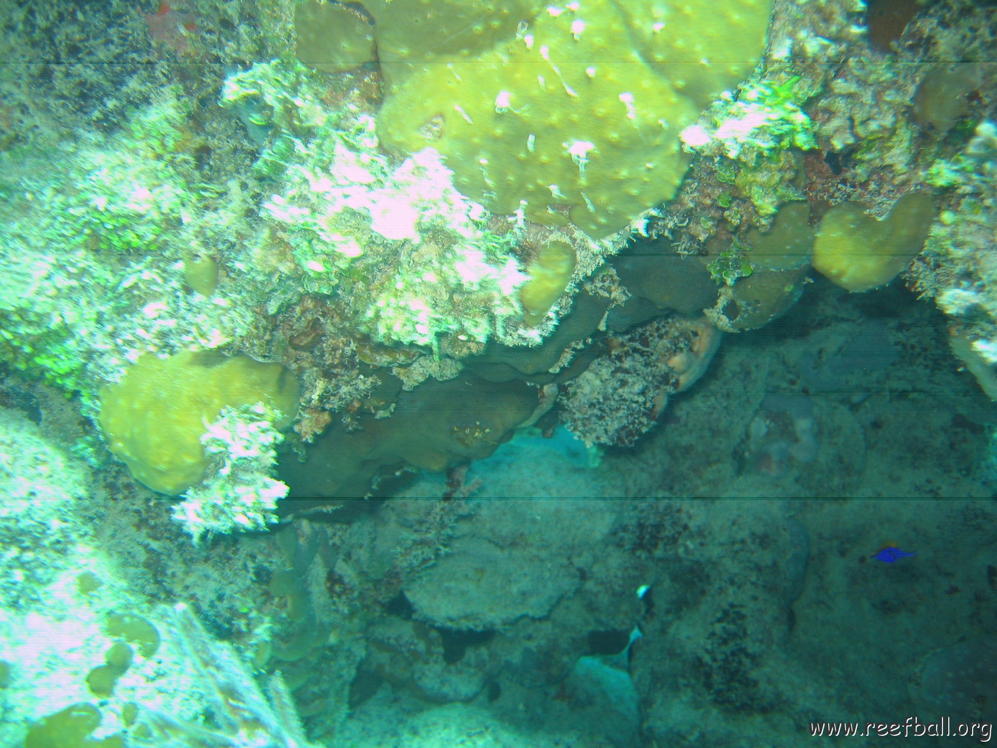 bahamas 144