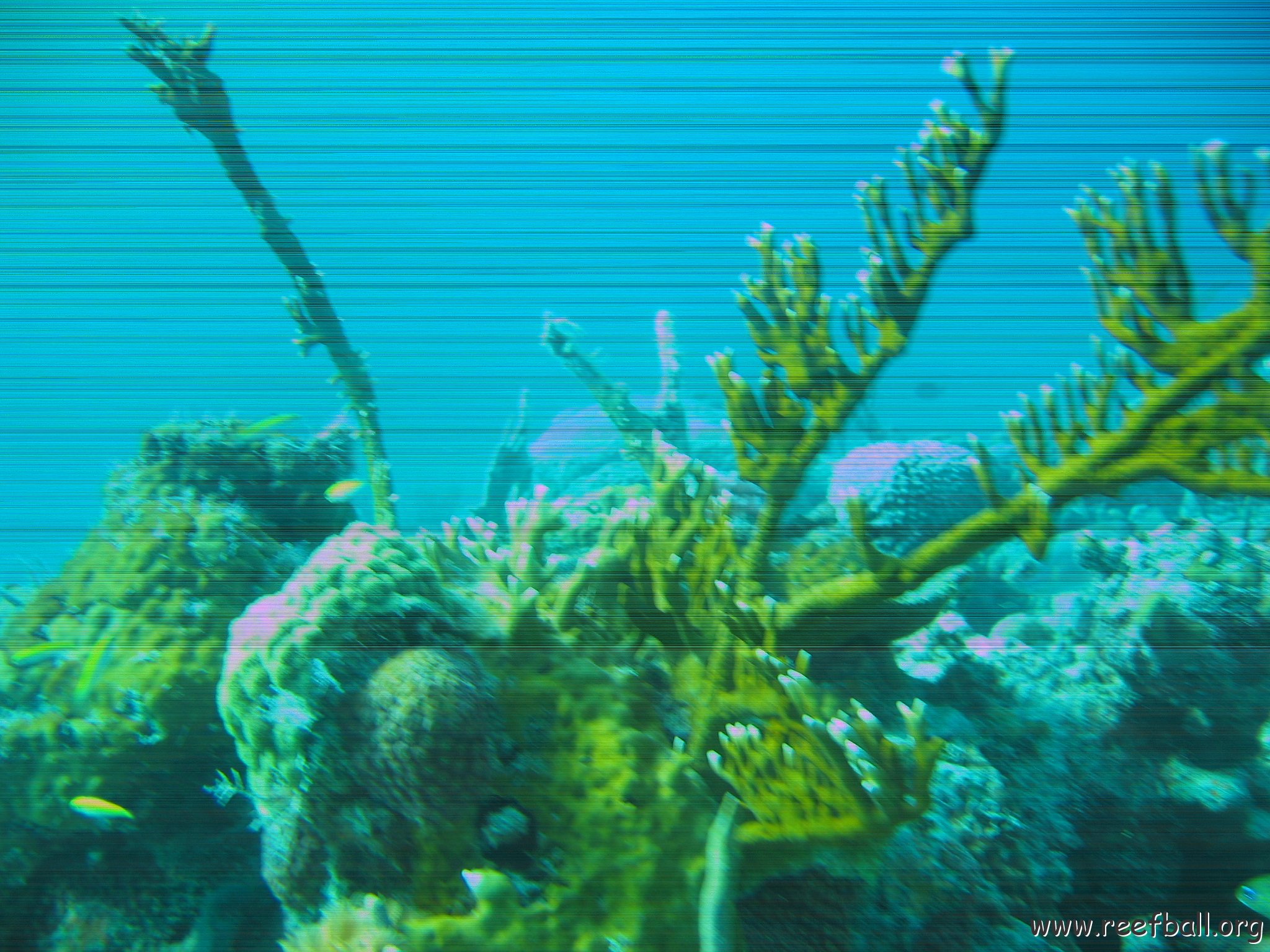 bahamas 145