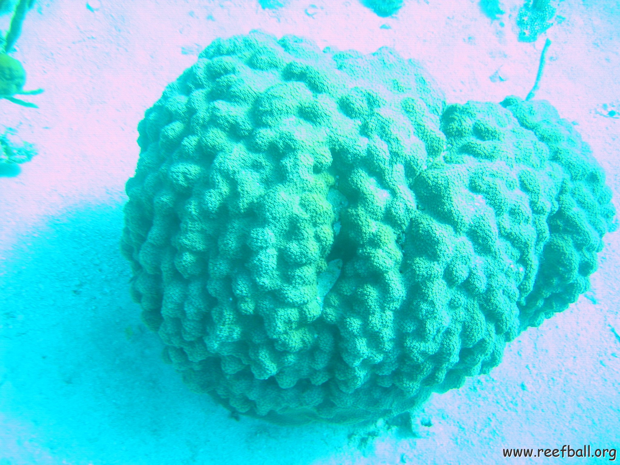 bahamas 146