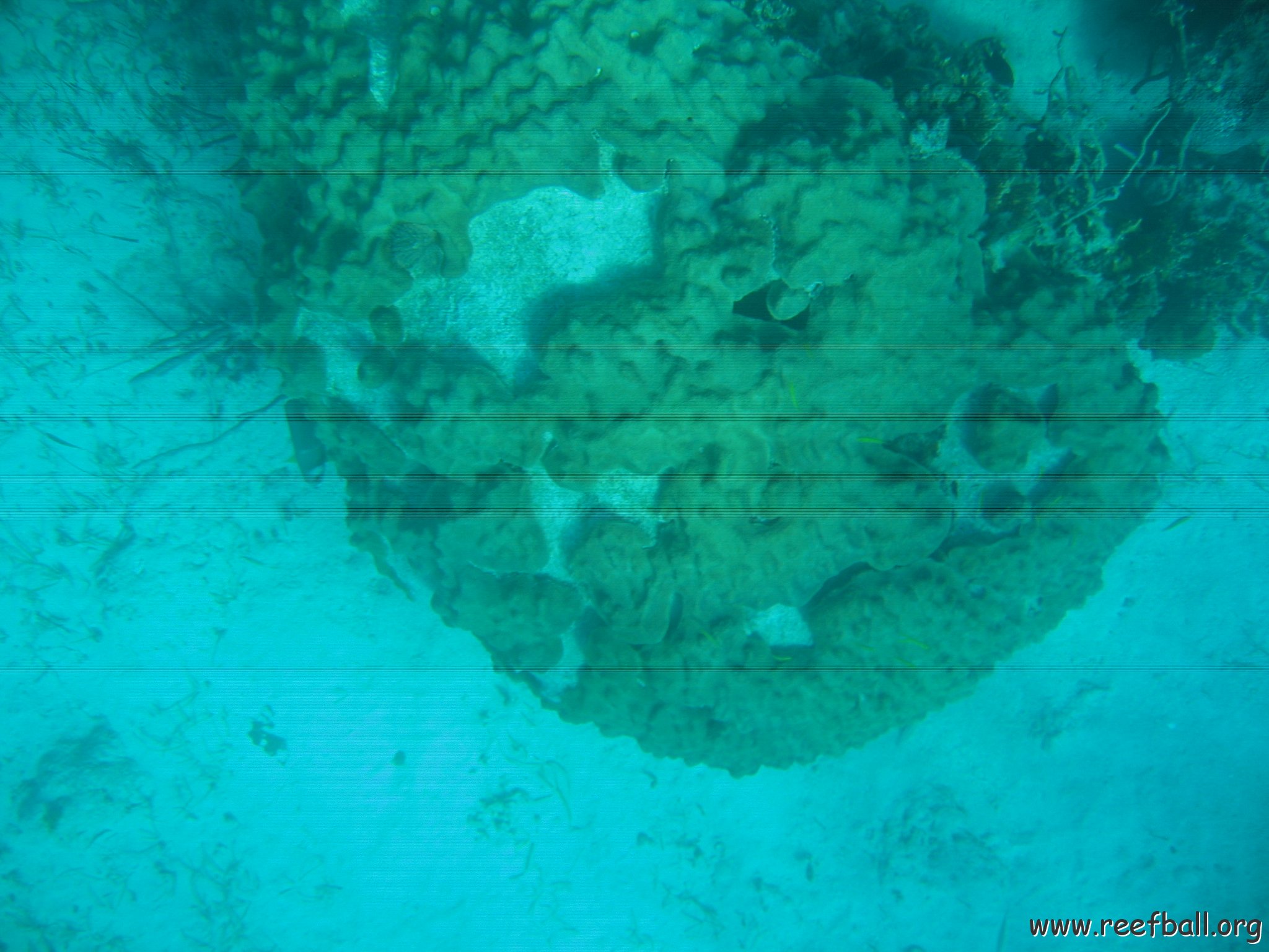 bahamas 152