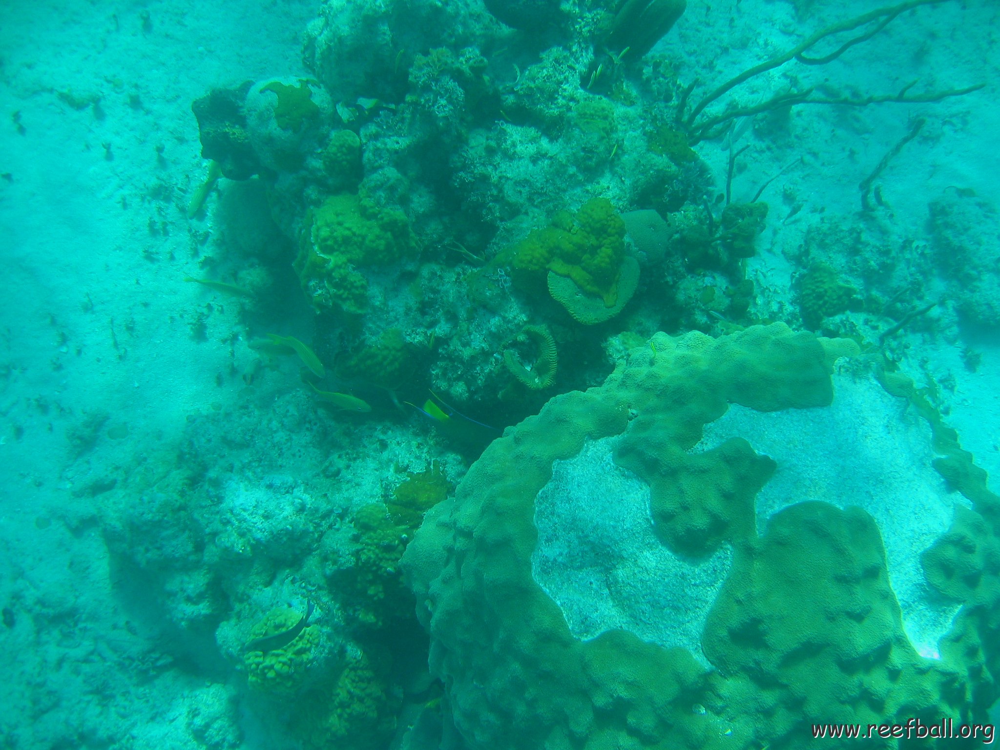 bahamas 157