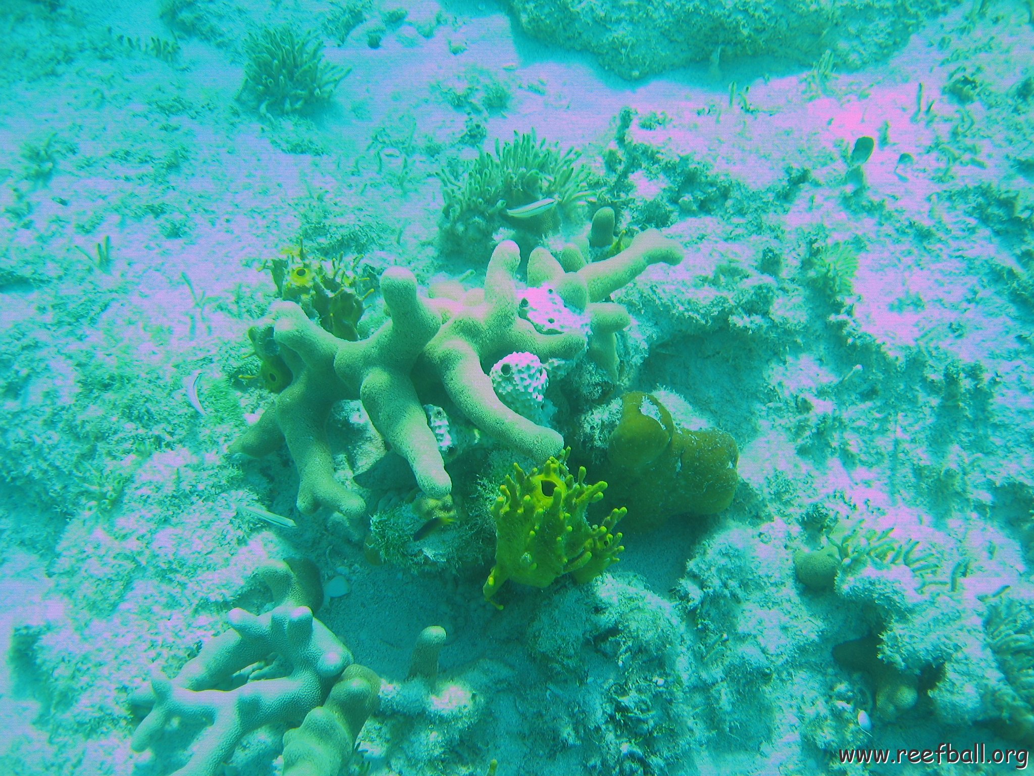 bahamas 159