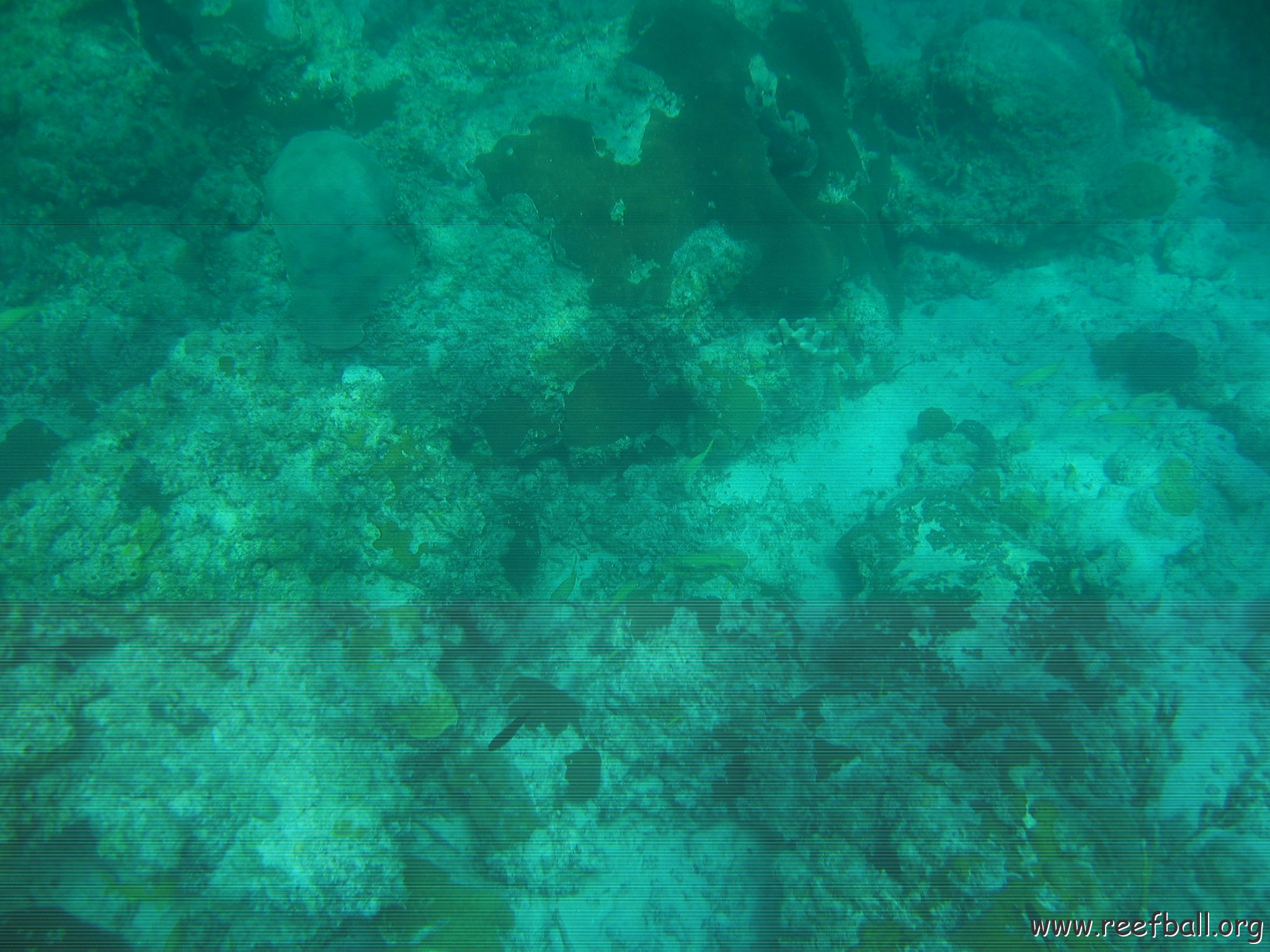 bahamas 160