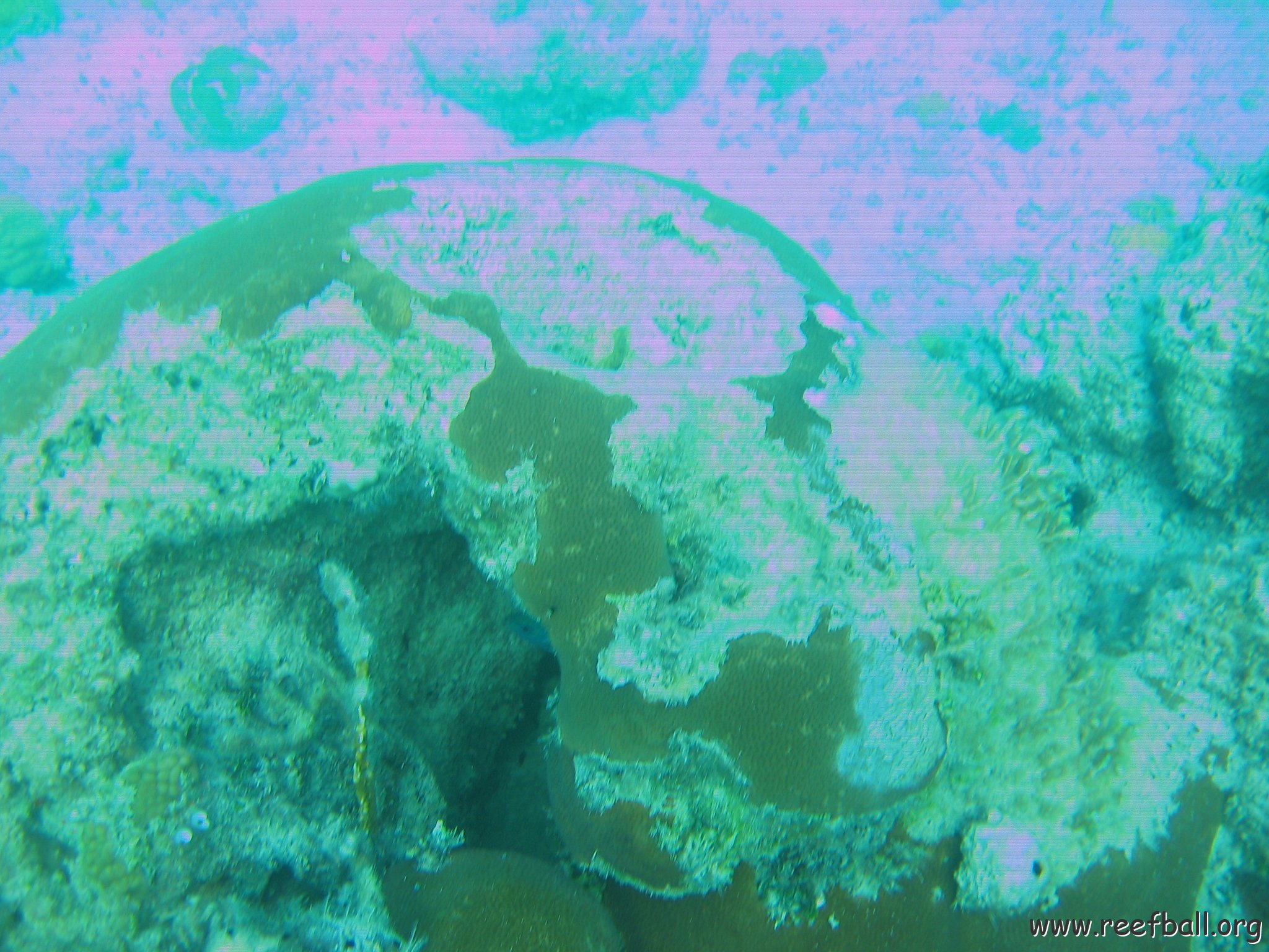 bahamas 162