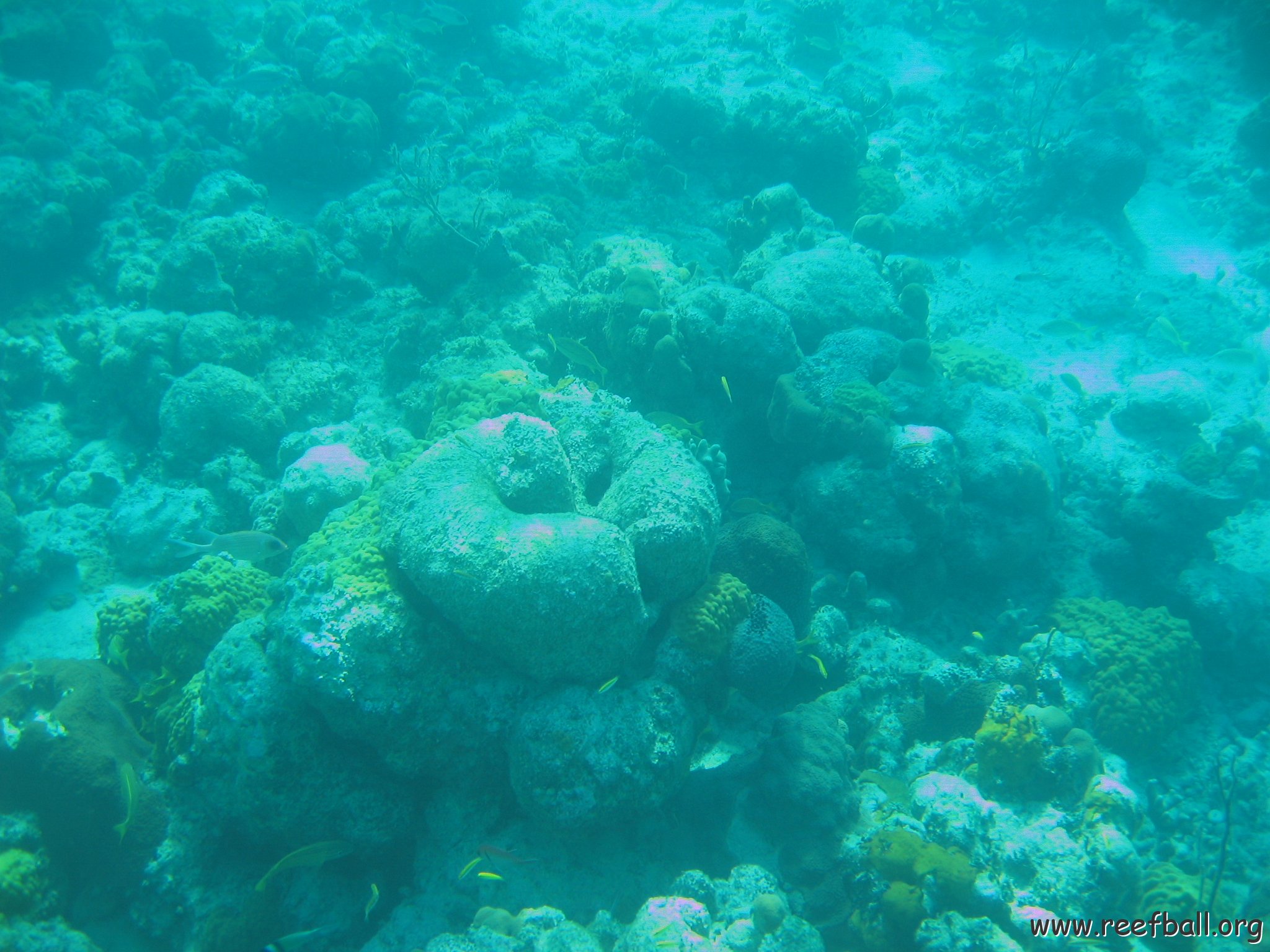 bahamas 164