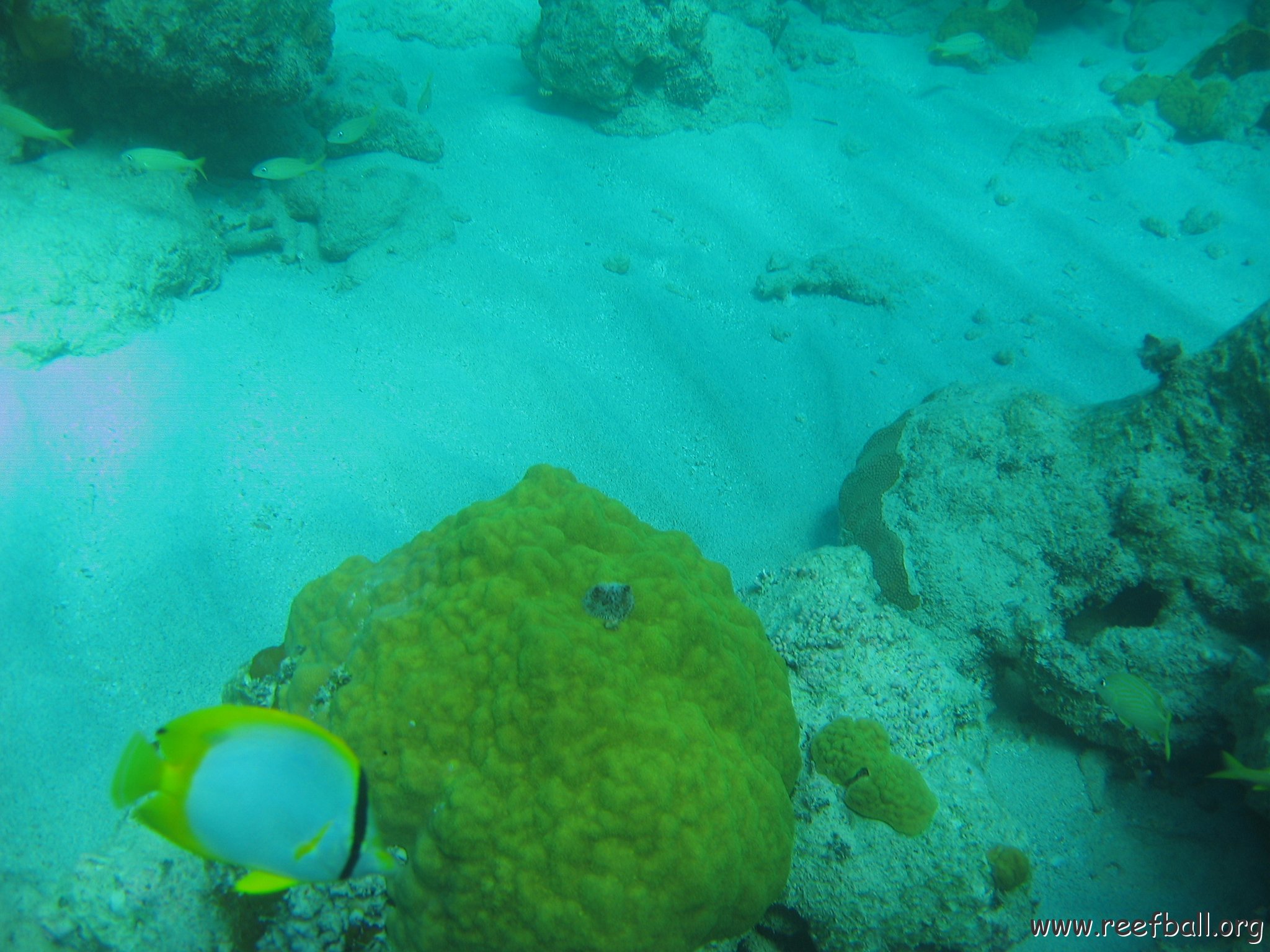 bahamas 171