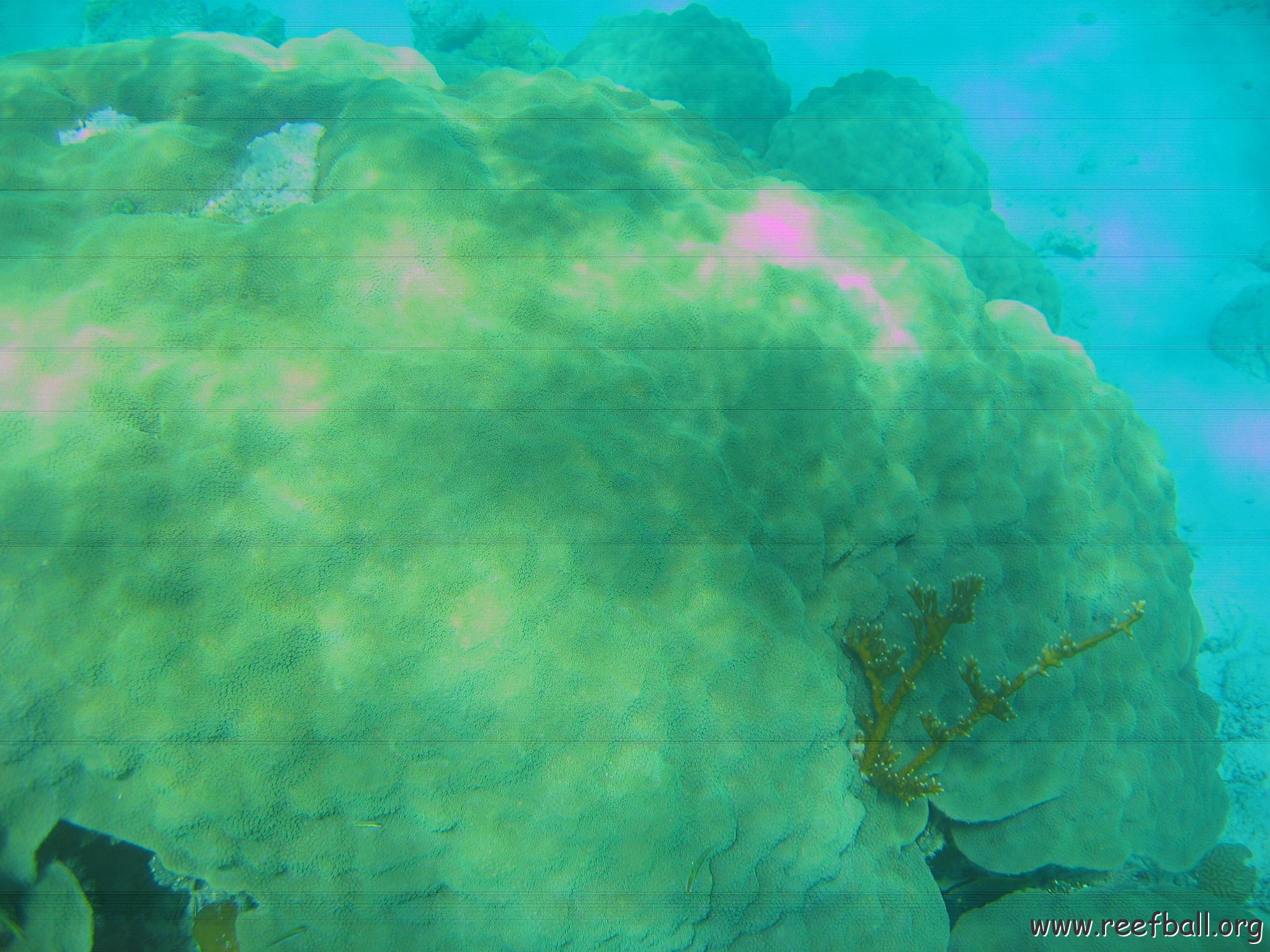 bahamas 178