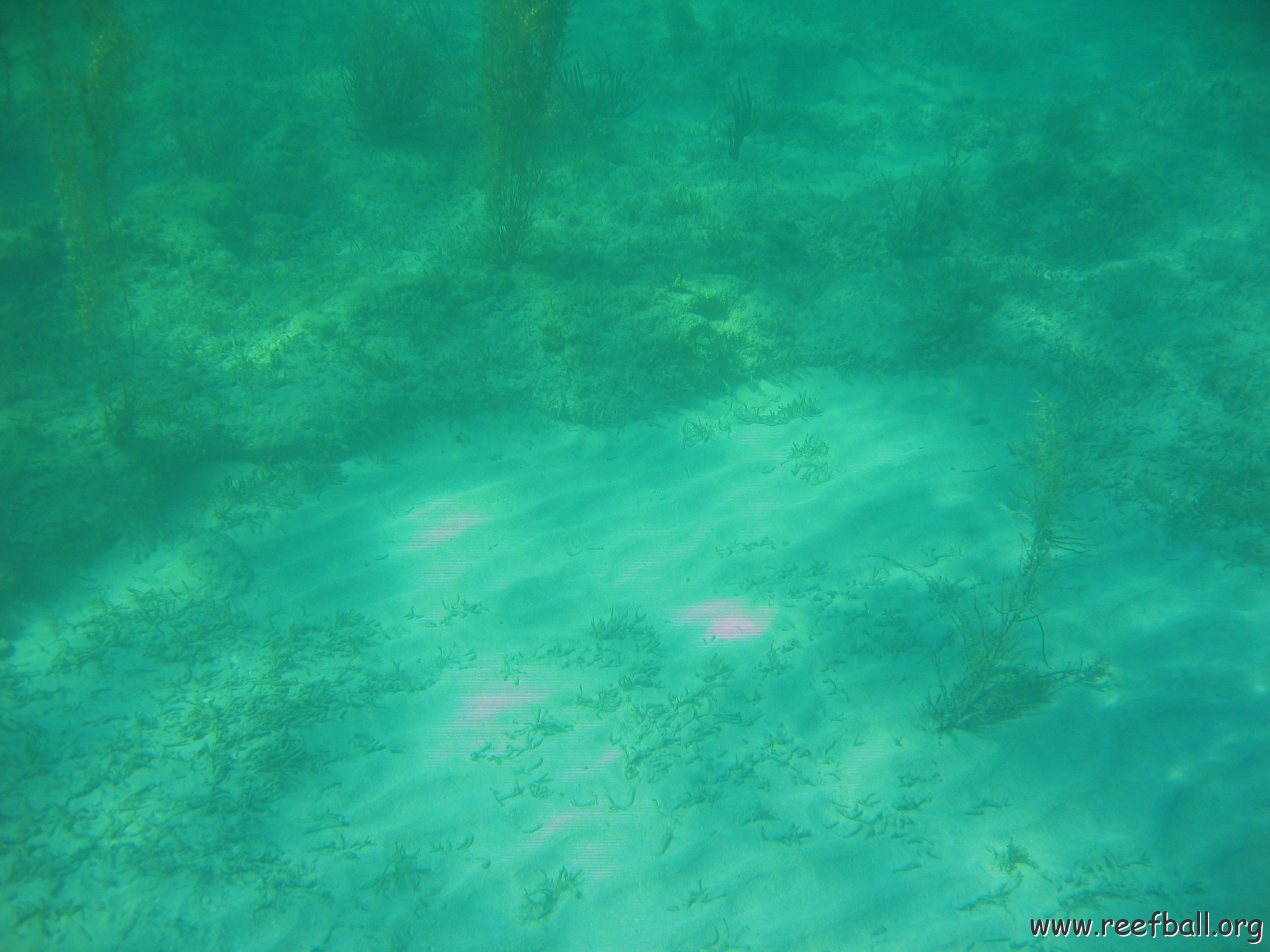 bahamas 181