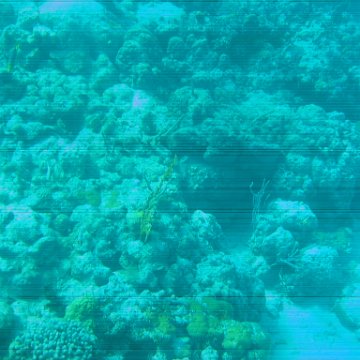 bahamas 142 bahamas 142