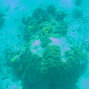 bahamas 156 bahamas 156