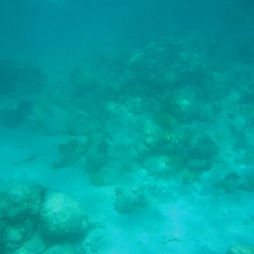 bahamas 170 bahamas 170