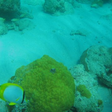 bahamas 171 bahamas 171
