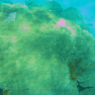 bahamas 178 bahamas 178