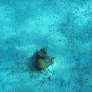 IMG_1183 IMG_1183