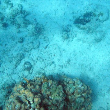 IMG_1194 IMG_1194
