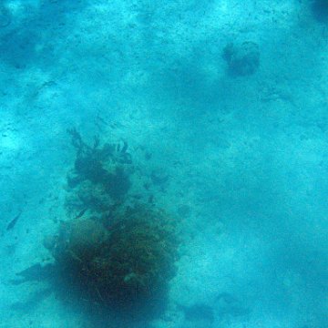 IMG_1201 IMG_1201