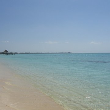 nassau2 565 nassau2 565