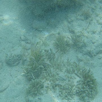nassau2 578 nassau2 578