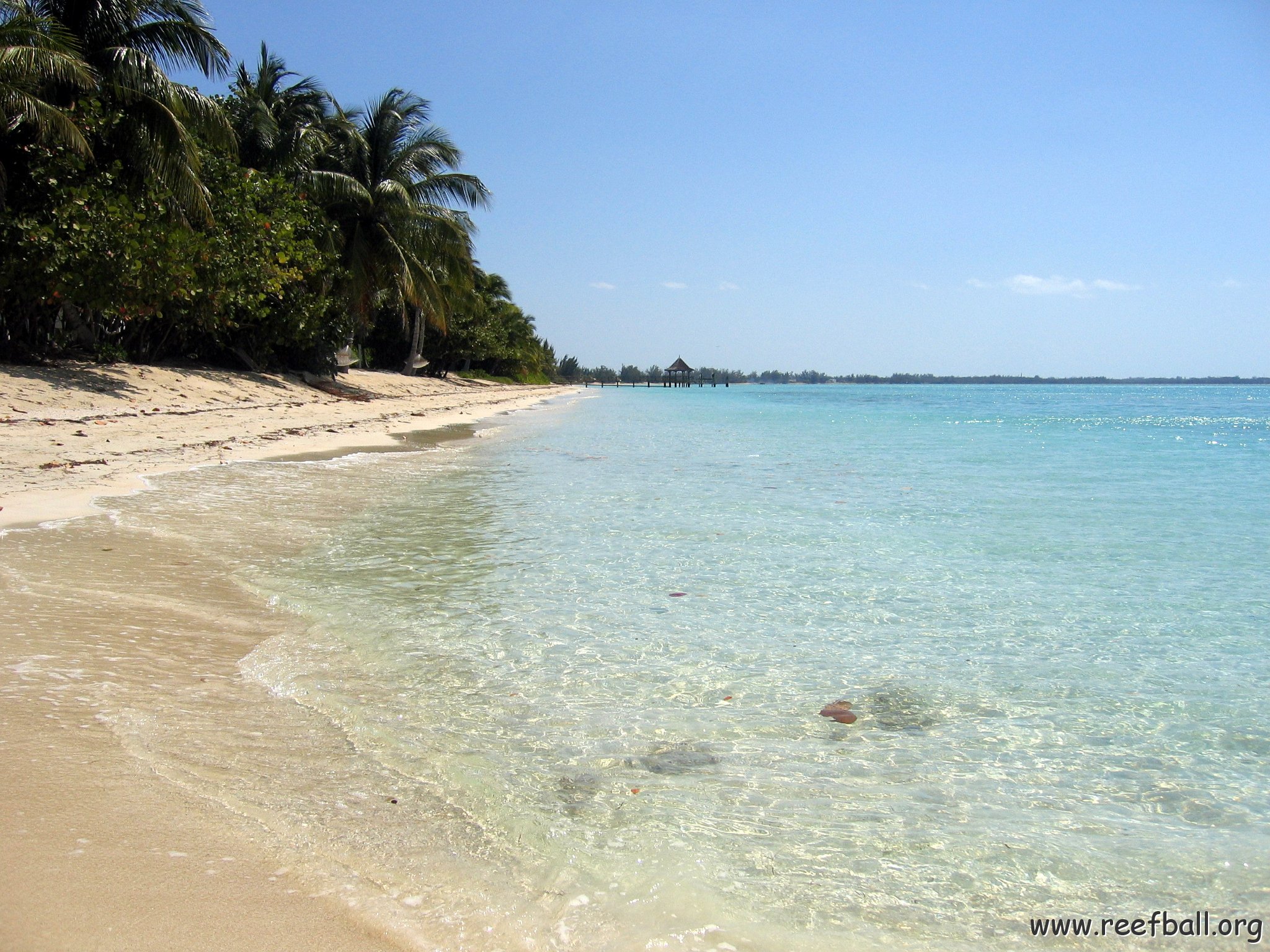nassau2 563