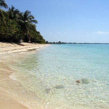 nassau2 563 nassau2 563