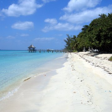 nassau2 566 nassau2 566