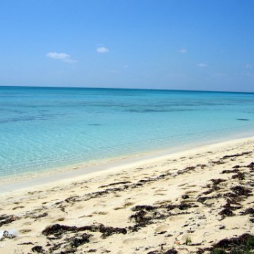 nassau2 573 nassau2 573