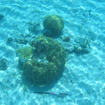 IMG_0113 IMG_0113