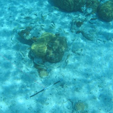 IMG_0114 IMG_0114
