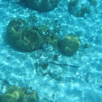 IMG_0116 IMG_0116