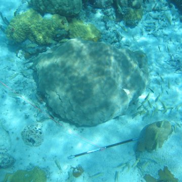 IMG_0117 IMG_0117