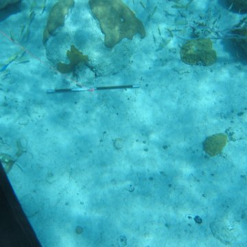 IMG_0118 IMG_0118