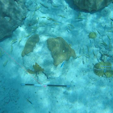 IMG_0119 IMG_0119