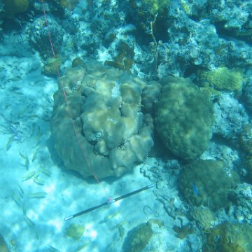 IMG_0120 IMG_0120