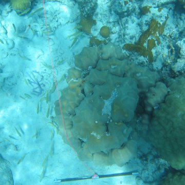 IMG_0121 IMG_0121