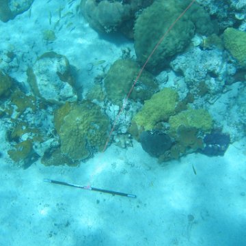 IMG_0122 IMG_0122