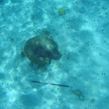 IMG_0124 IMG_0124