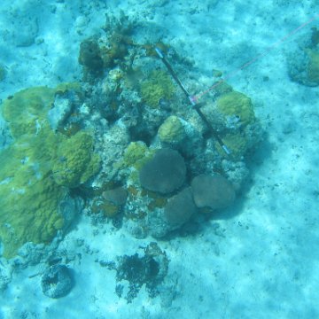 IMG_0125 IMG_0125
