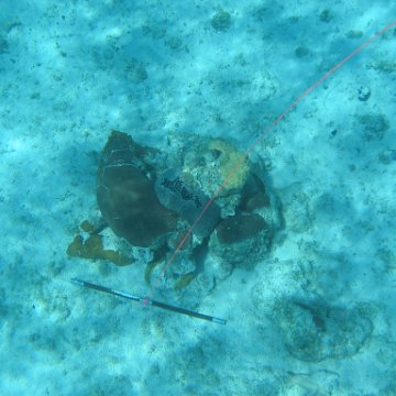 IMG_0126 IMG_0126