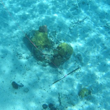 IMG_0127 IMG_0127