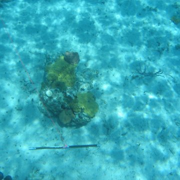 IMG_0128 IMG_0128