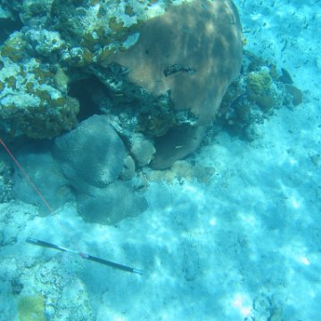 IMG_0129 IMG_0129