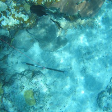 IMG_0130 IMG_0130