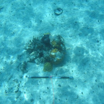 IMG_0131 IMG_0131