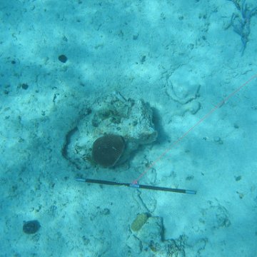 IMG_0133 IMG_0133