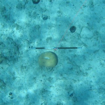 IMG_0134 IMG_0134
