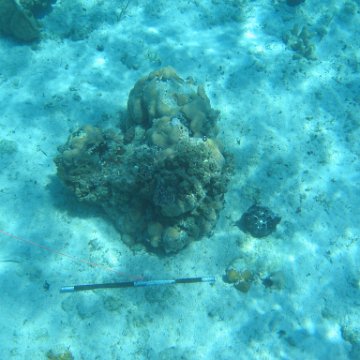 IMG_0136 IMG_0136