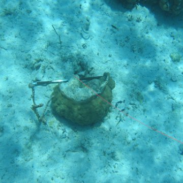 IMG_0137 IMG_0137